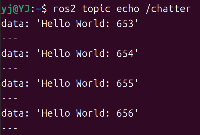 ROS 2 topic echo